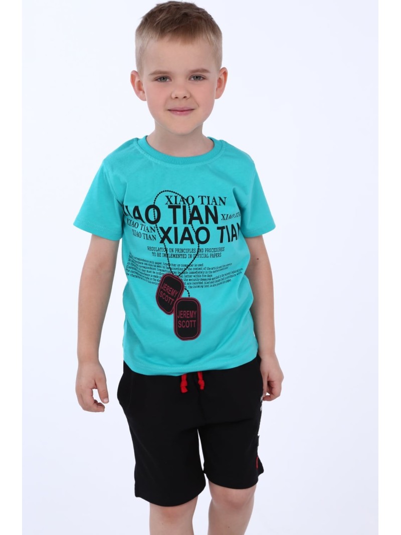 Tricou baieti cu imprimeu, menta NDZ4489 - Magazin online - Boutique