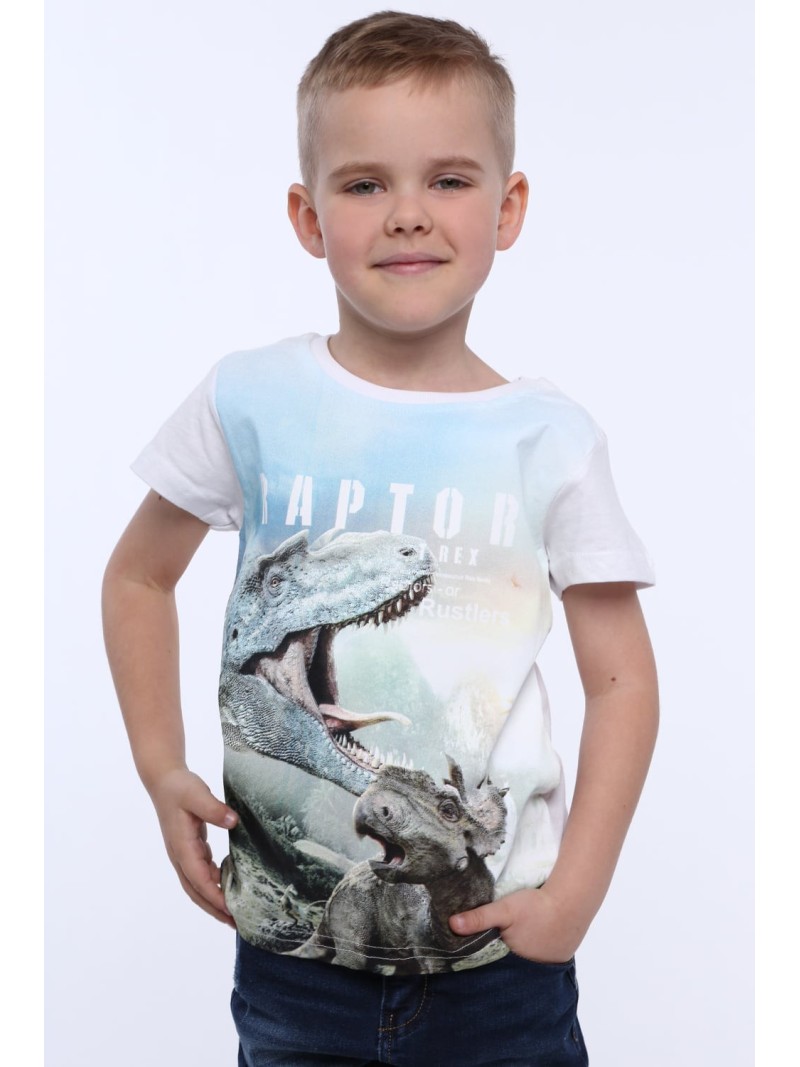 Tricou cu dinozaur băiat NDZ4510 - Magazin online - Boutique